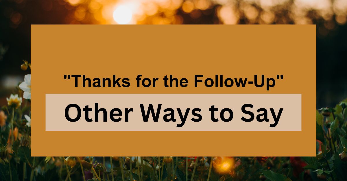 18 Other Ways to Say "Thanks for the Follow-Up"