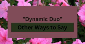 18 Synonyms for "Dynamic Duo"