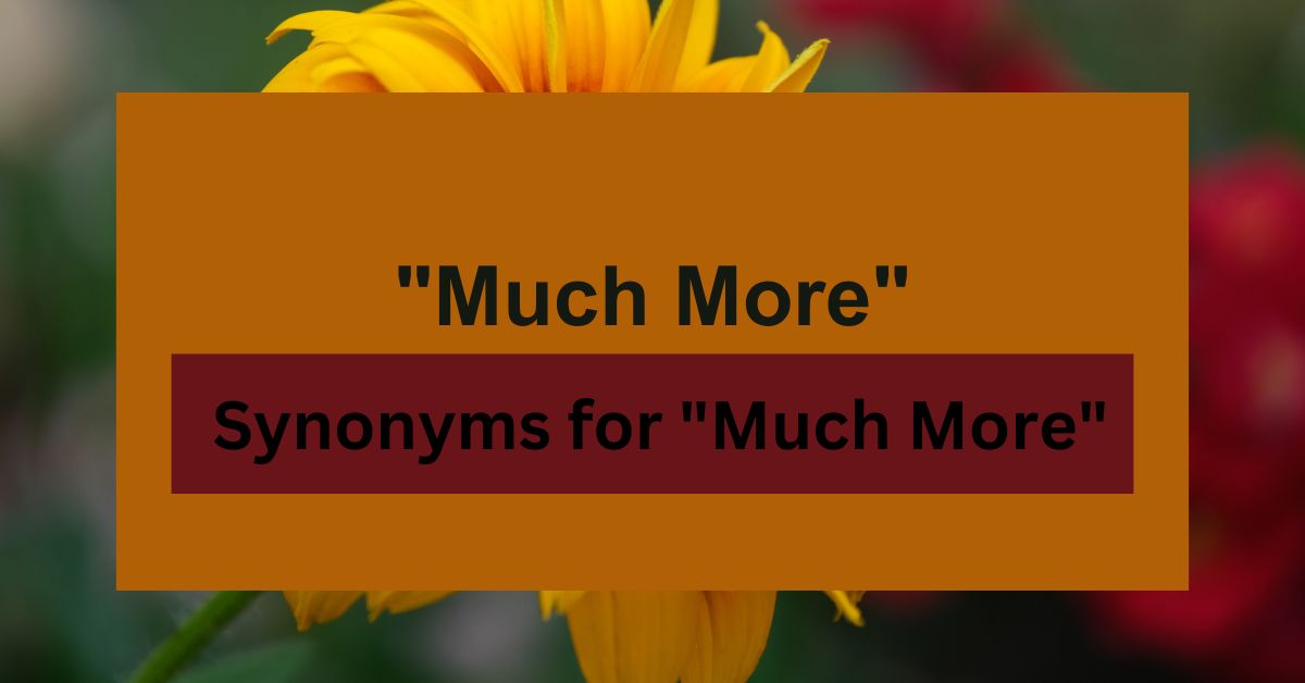 18 Synonyms for "Much More"