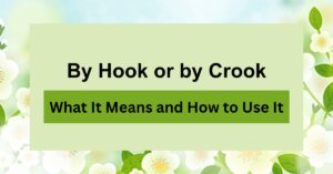 By Hook or by Crook: What It Means and How to Use It