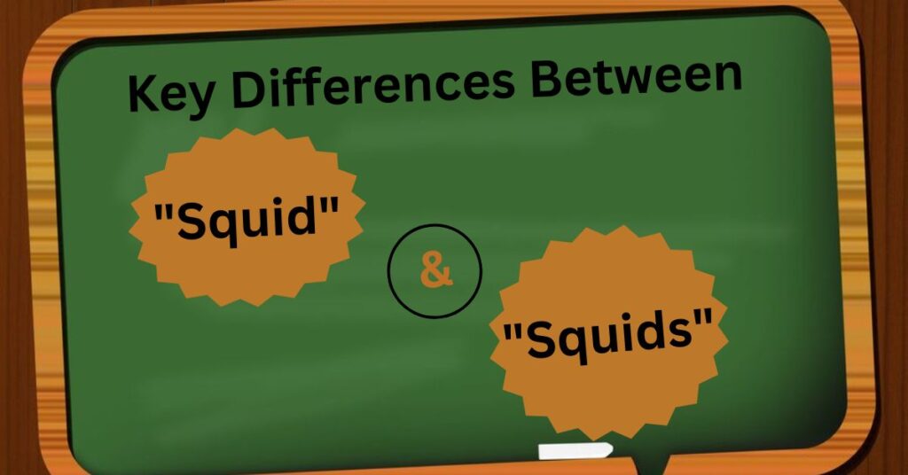 Key Differences Between "Squid" and "Squids"