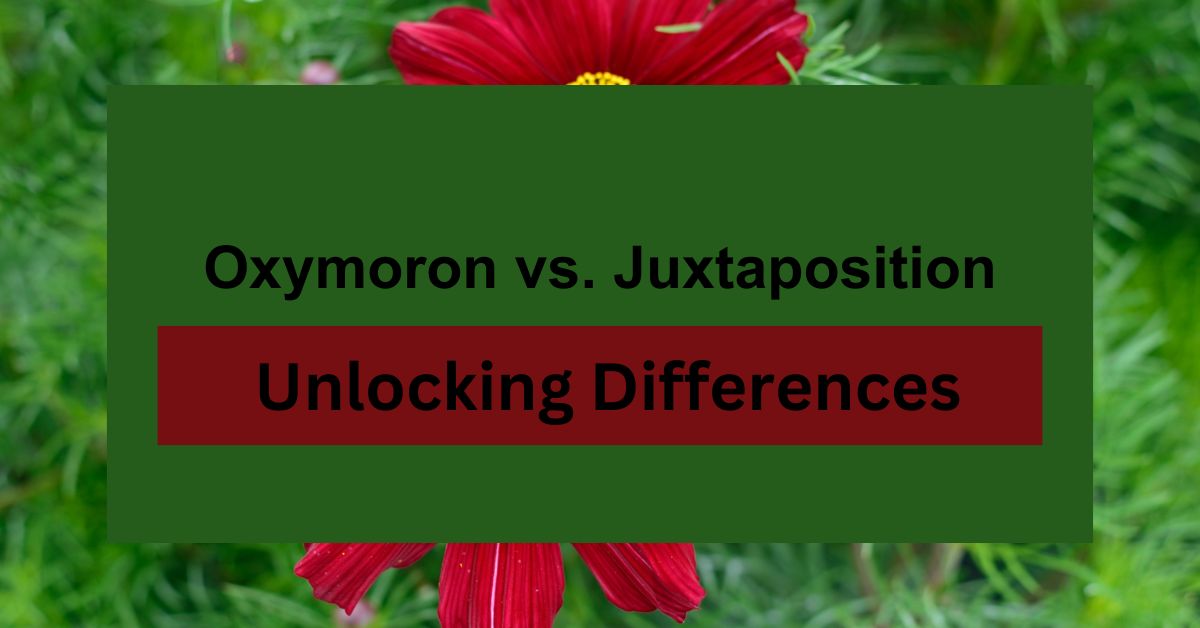 Oxymoron vs. Juxtaposition: Unlocking Differences