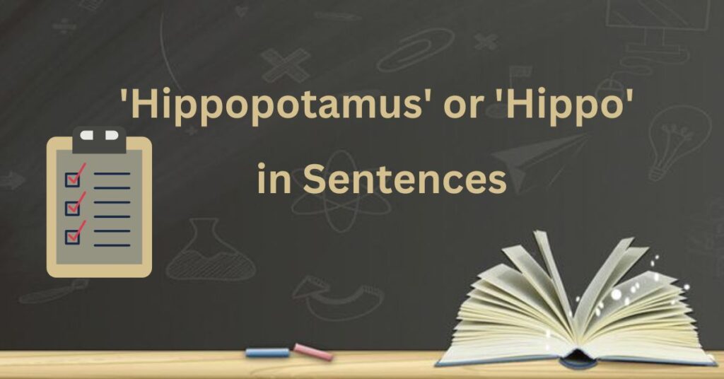 Using 'Hippopotamus' or 'Hippo' in Sentences (Singular Form)