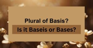 What’s the Plural of Basis? Is it Baseis or Bases?