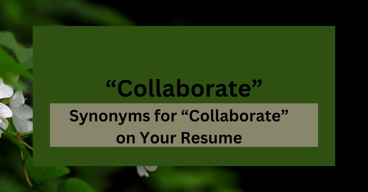 16 Synonyms for “Collaborate” on Your Resume