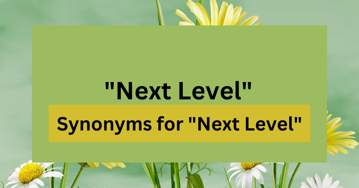 18 Synonyms for "Next Level"