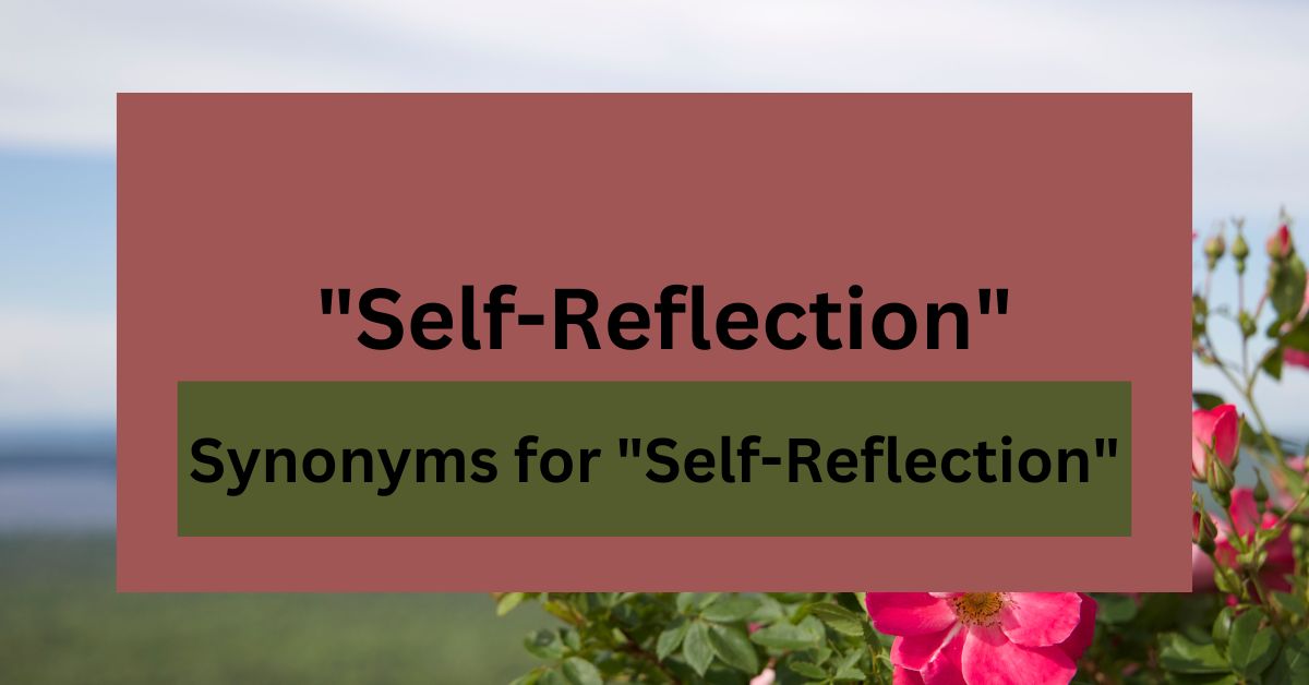 20 Synonyms for "Self-Reflection"